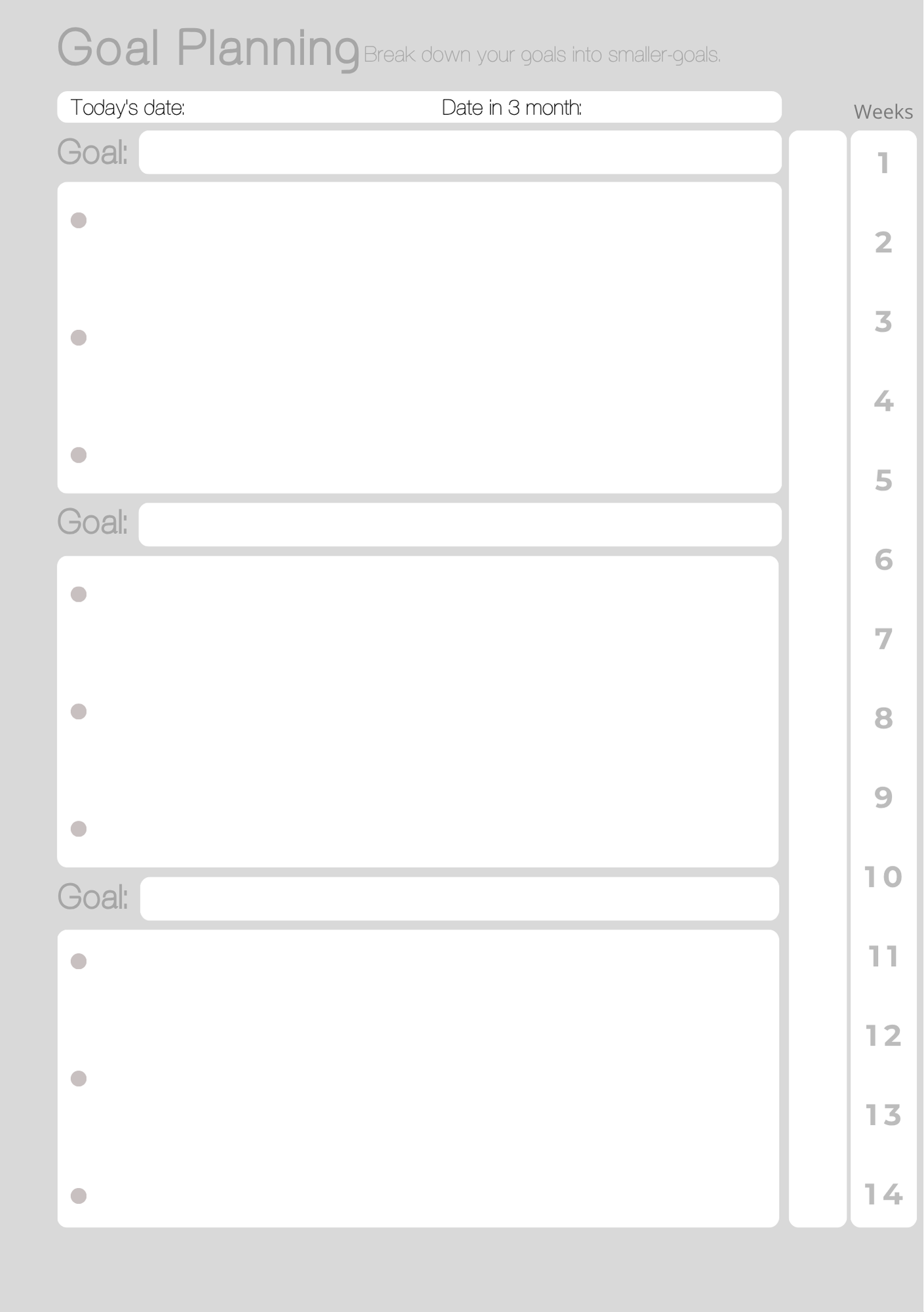 The Lite Journal: Productivity Journal