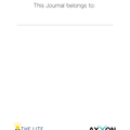 The Lite Journal: Productivity Journal